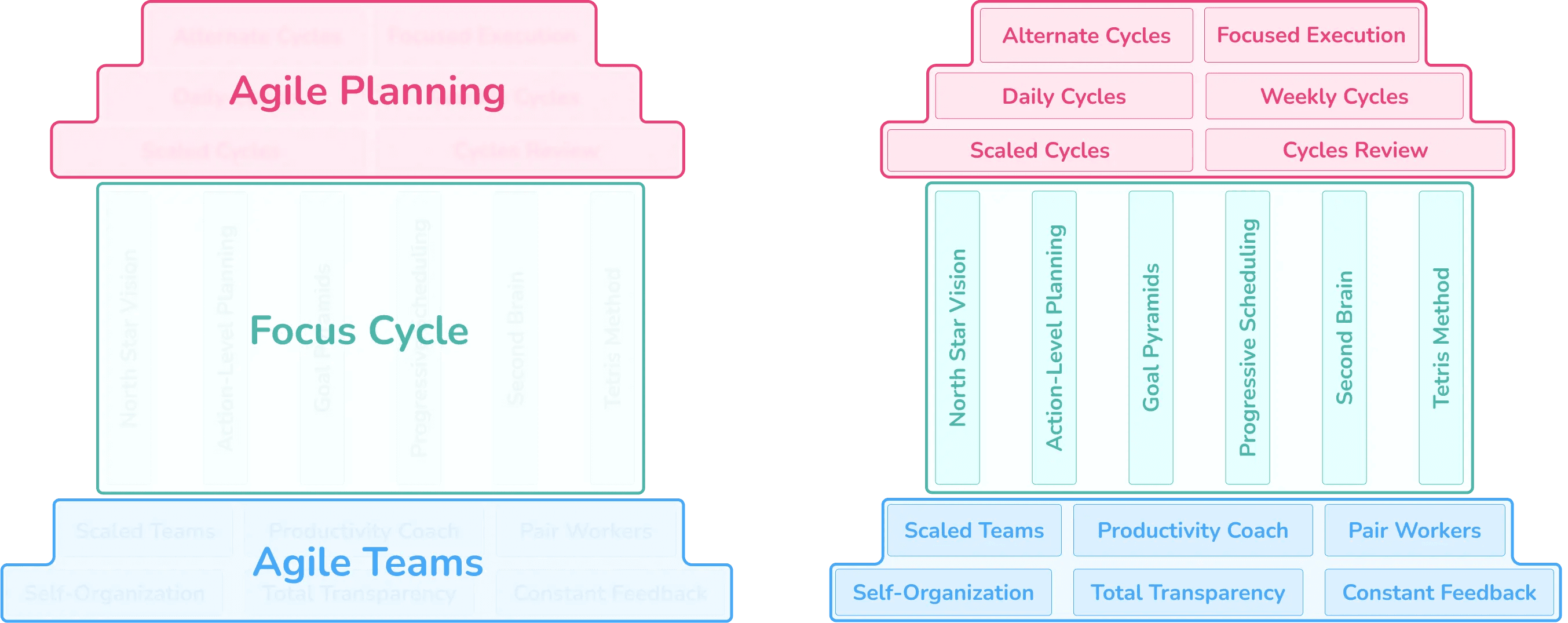 Focus Cycle System Structure